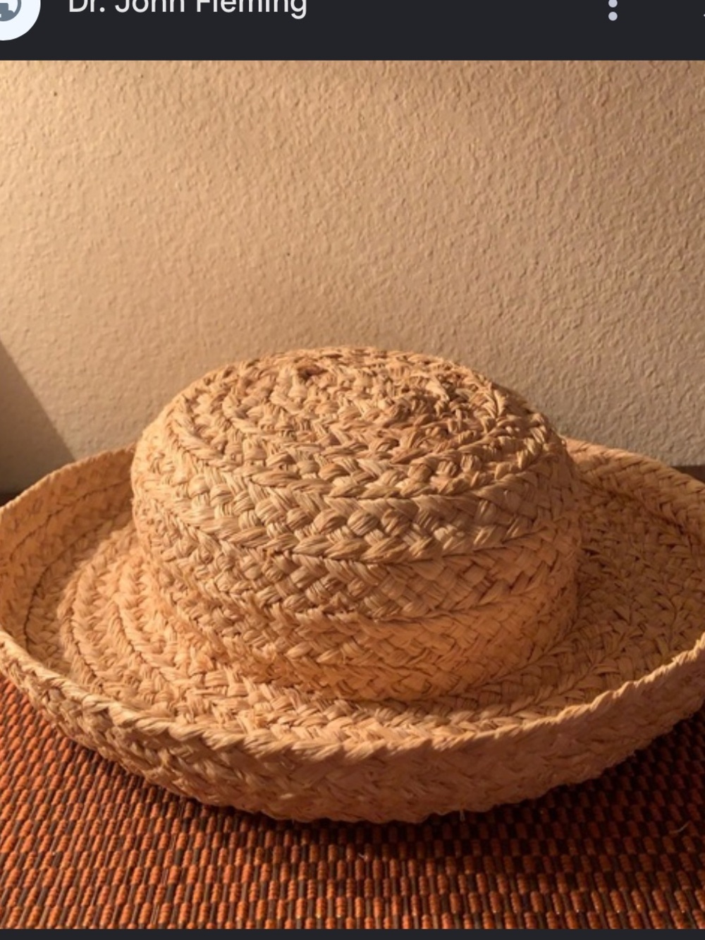 Helen Kaminski Hat